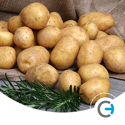 Patates ve Soğan Havalandırma Sistemi